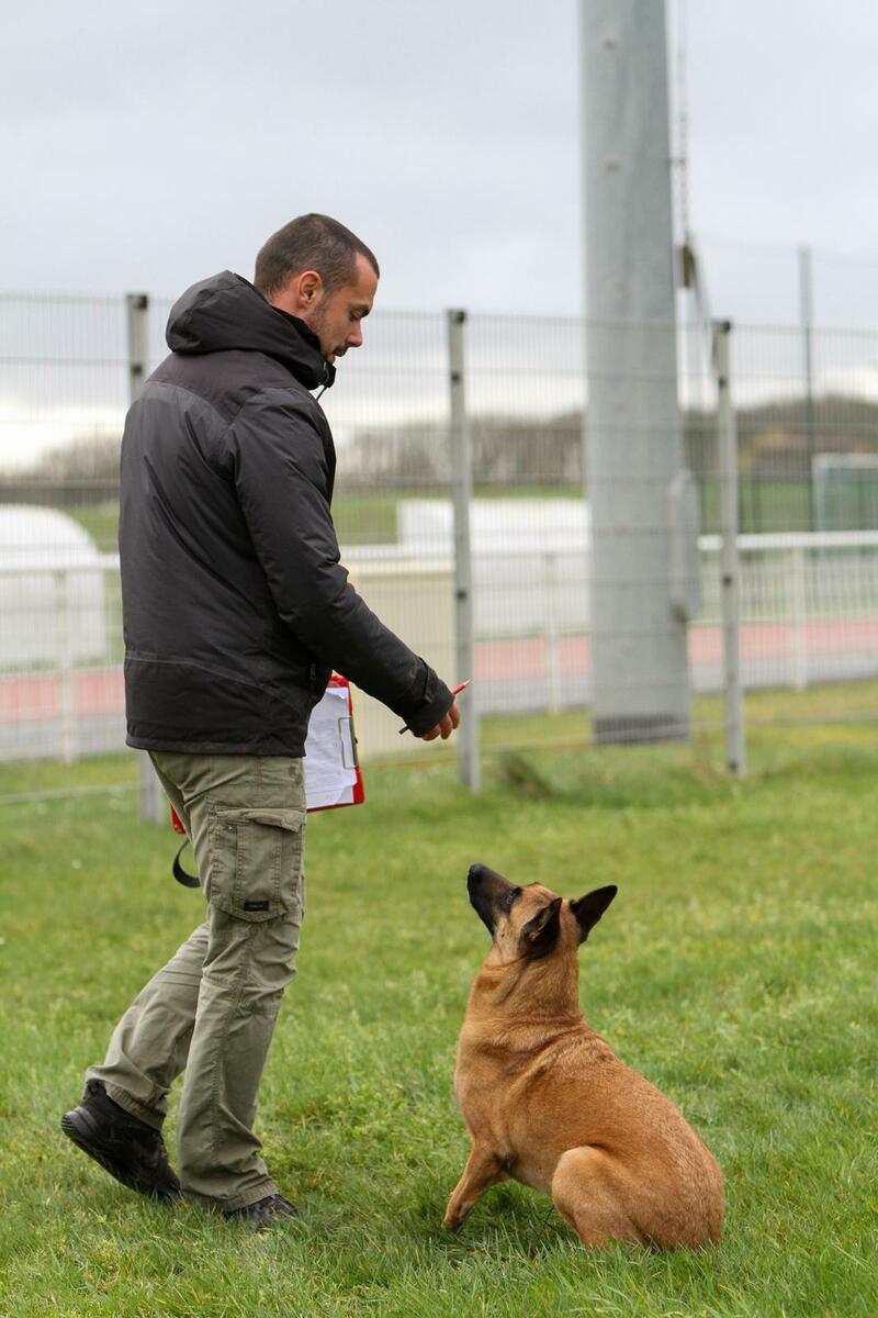Atelier Chiens 🐕 Enfants : une journée pour se comprendre !
