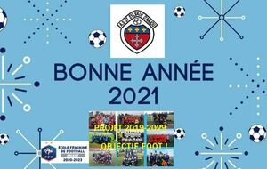 Bonne année 2021 !